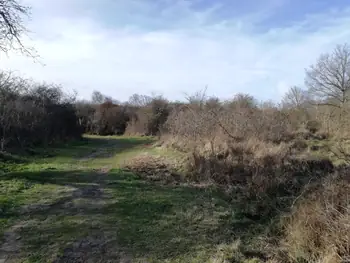 De Panne (België)